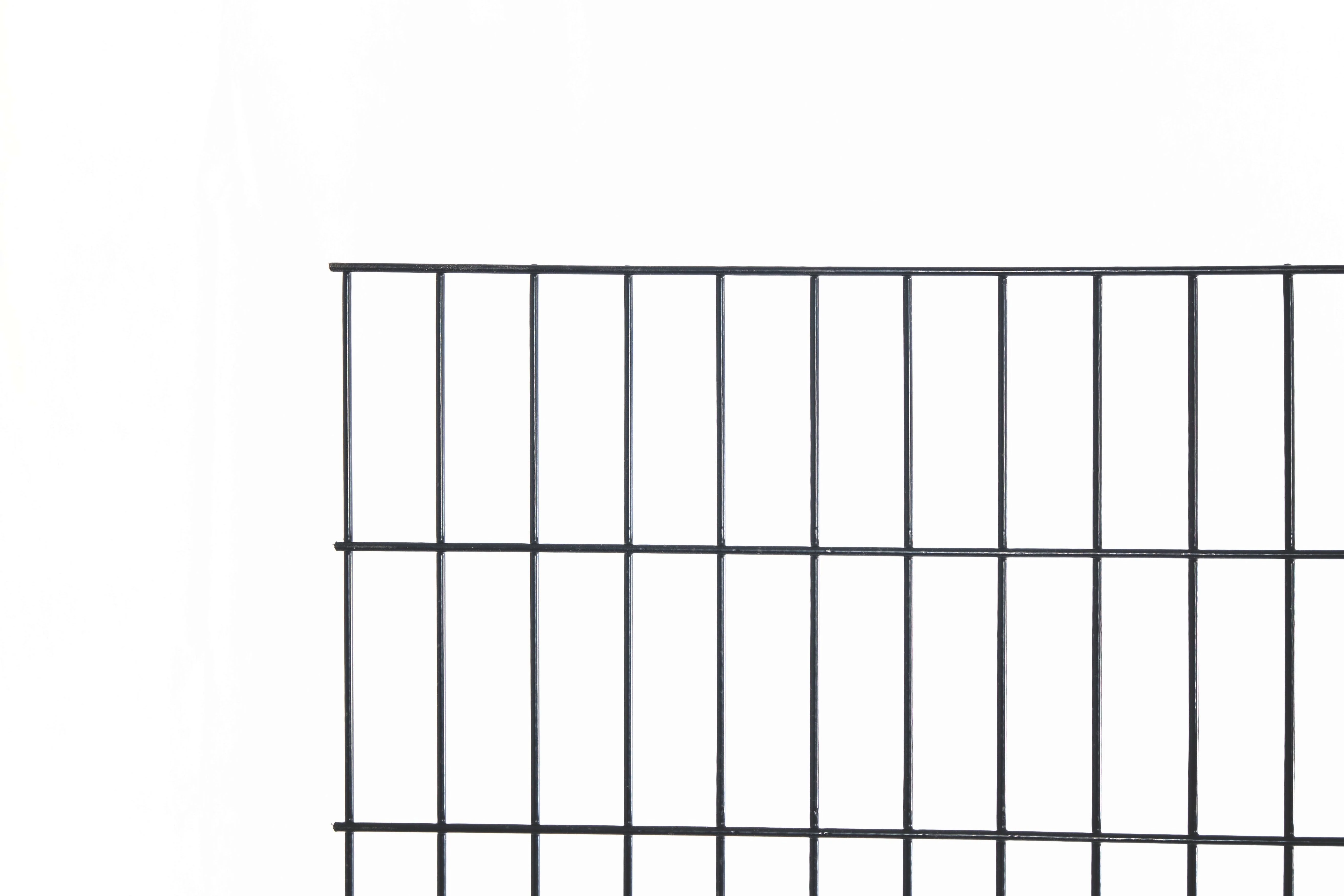 Brown Cattle Panel Fence - Image 4