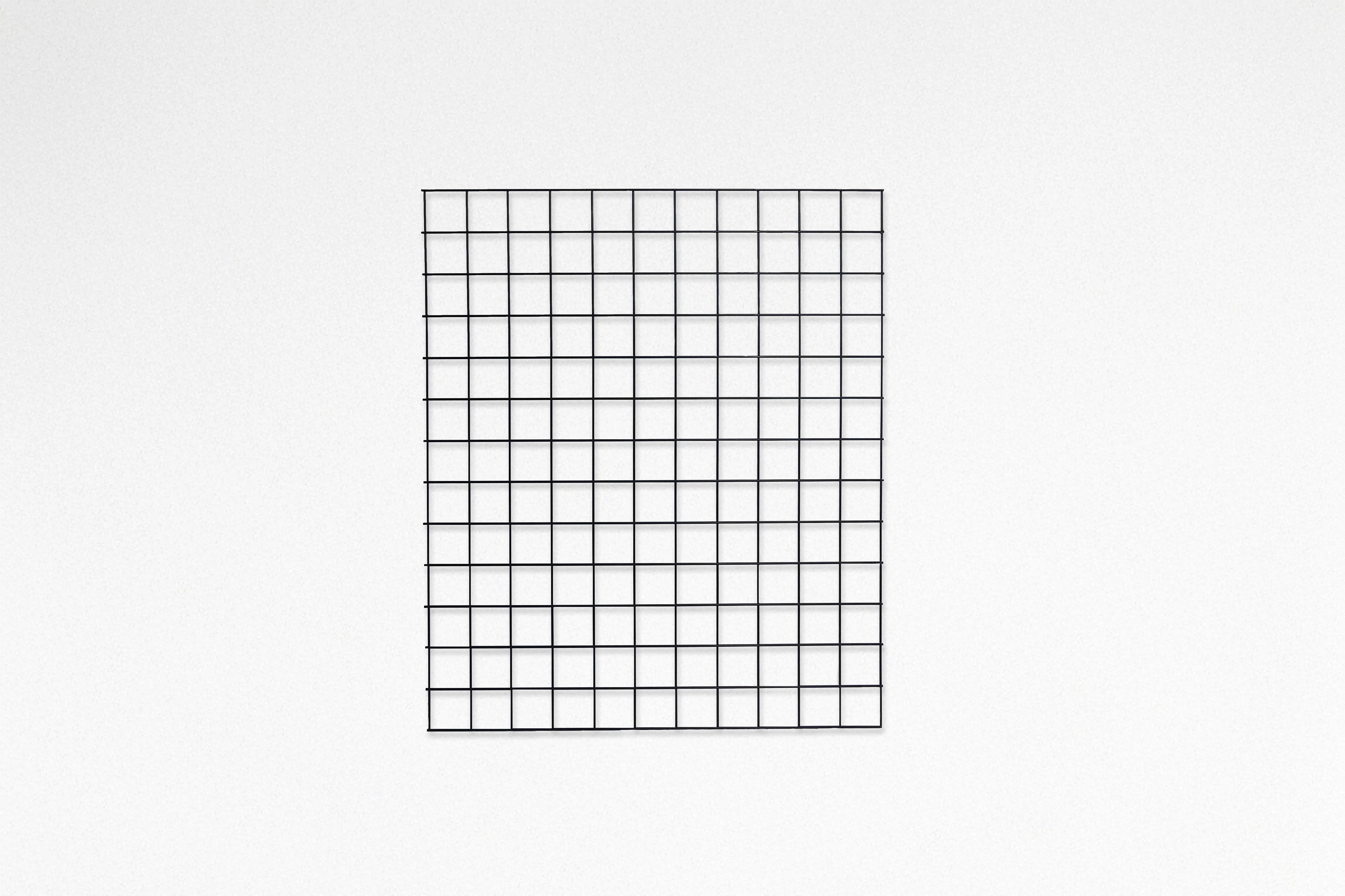 Black Hog Wire Fence Panels - Image 14