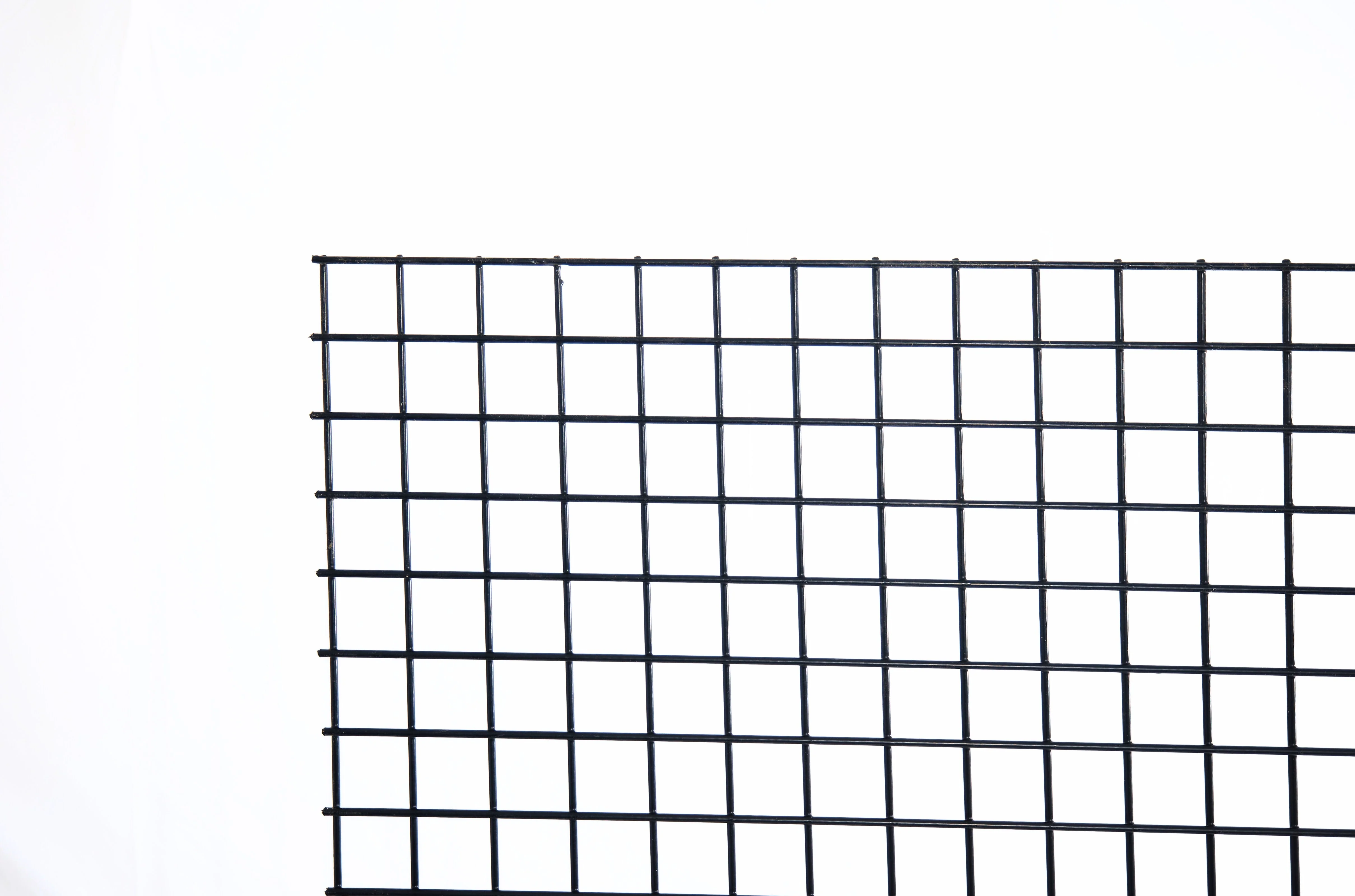 Silver Cattle Panel Fence - Image 5